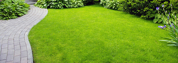 cim-hali-temizligi3_f48.jpg (92 KB)