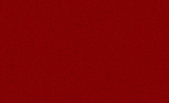 protokol-halisi_2cb.jpg (69 KB)