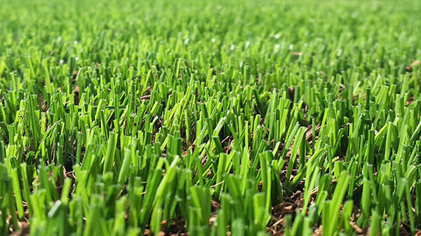 suni-cim-avantajlari5_d9r.jpg (97 KB)