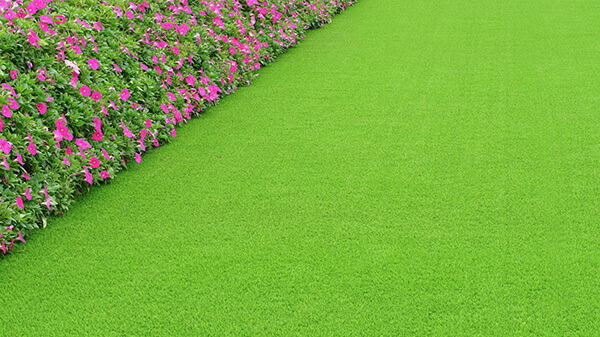 suni-cim-hali1_jws.jpg (144 KB)