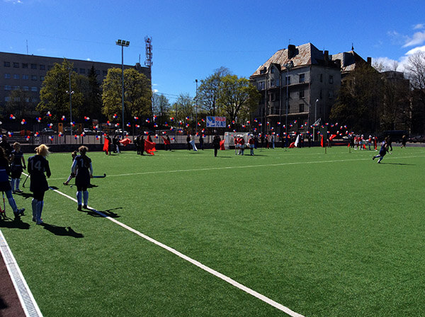 yapay-cim-hali6_3fd.jpg (96 KB)