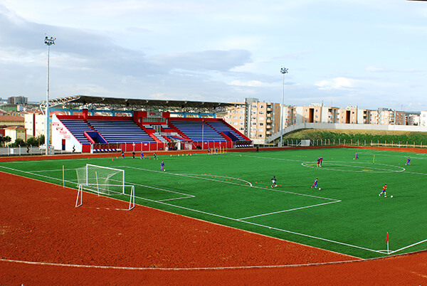 yapay-cim-hali9_79q.jpg (102 KB)